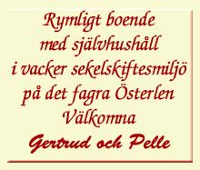 Rymligt boende med självhushåll i vacker sekelskiftesmiljö på det fagra Österlen